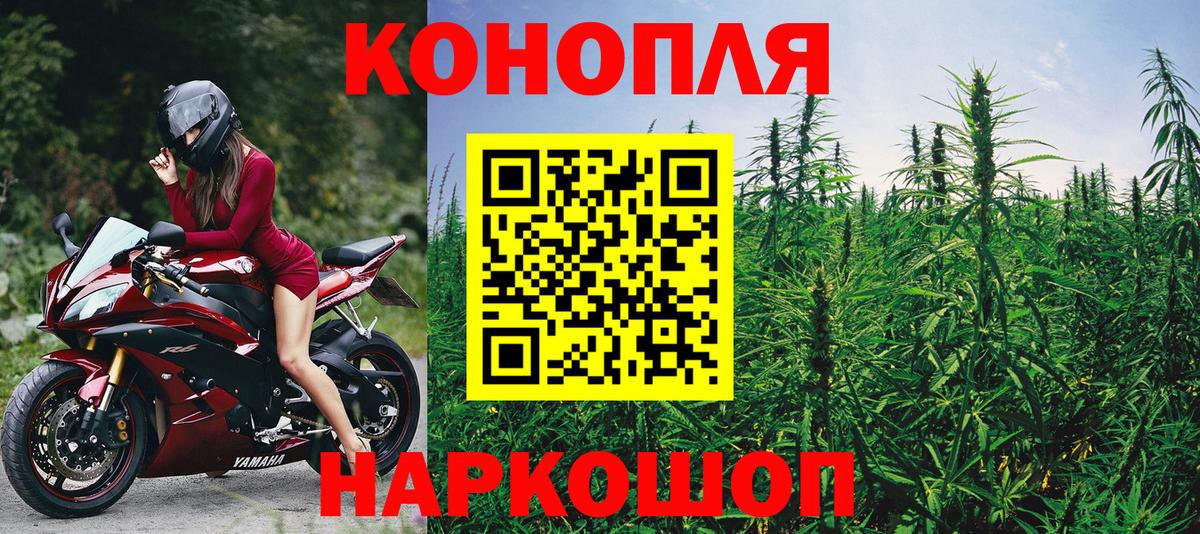 Шишки марихуана план Сегежа